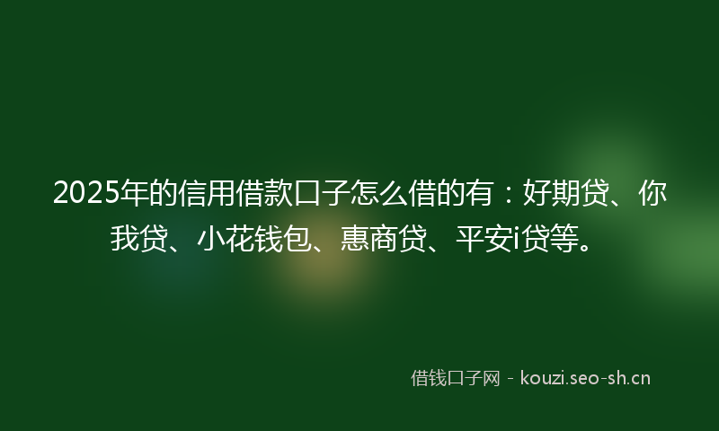 2025年的信用借款口子怎么借的有：好期贷、你我贷、小花钱包、惠商贷、平安i贷等。