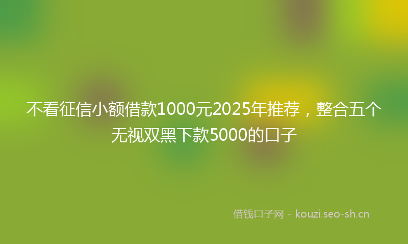 不看征信小额借款1000元2025年推荐，整合五个无视双黑下款5000的口子