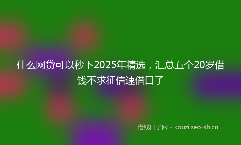 什么网贷可以秒下2025年精选，汇总五个20岁借钱不求征信速借口子