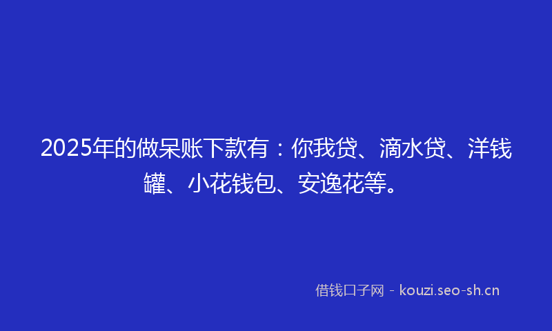 2025年的做呆账下款有：你我贷、滴水贷、洋钱罐、小花钱包、安逸花等。