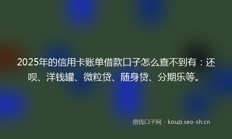 2025年的信用卡账单借款口子怎么查不到有：还呗、洋钱罐、微粒贷、随身贷、分期乐等。