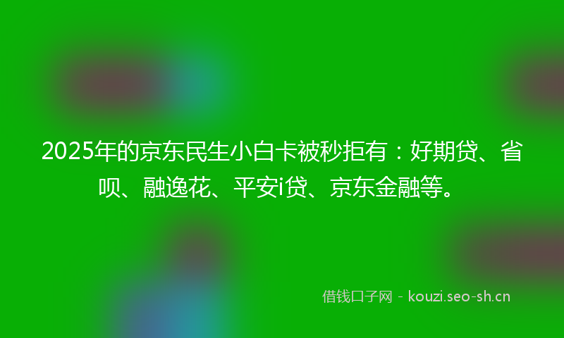2025年的京东民生小白卡被秒拒有：好期贷、省呗、融逸花、平安i贷、京东金融等。