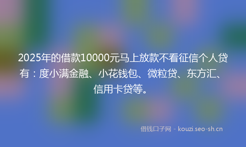 2025年的借款10000元马上放款不看征信个人贷有：度小满金融、小花钱包、微粒贷、东方汇、信用卡贷等。