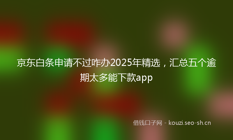 京东白条申请不过咋办2025年精选，汇总五个逾期太多能下款app
