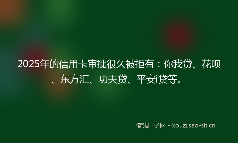 2025年的信用卡审批很久被拒有：你我贷、花呗、东方汇、功夫贷、平安i贷等。