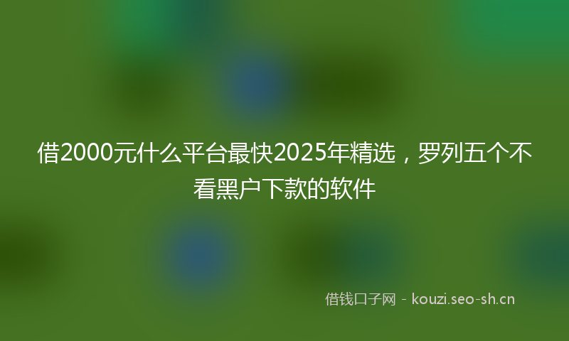 借2000元什么平台最快2025年精选，罗列五个不看黑户下款的软件