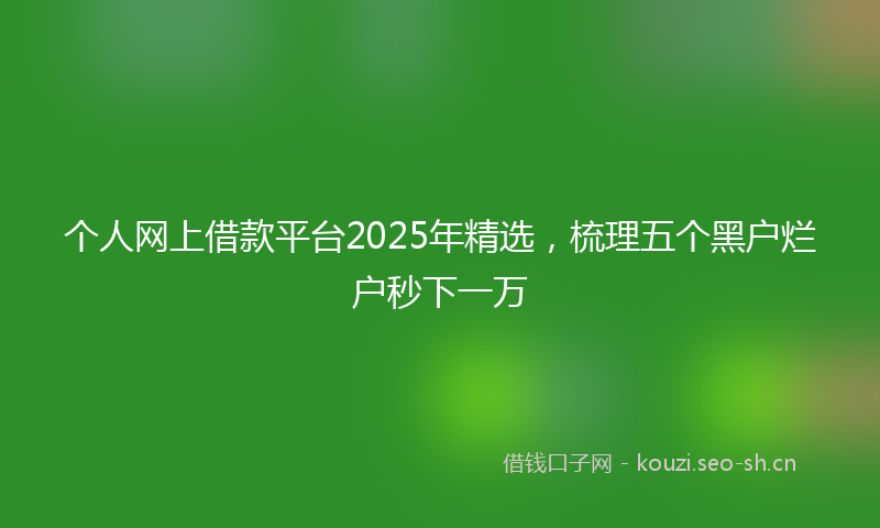 个人网上借款平台2025年精选，梳理五个黑户烂户秒下一万