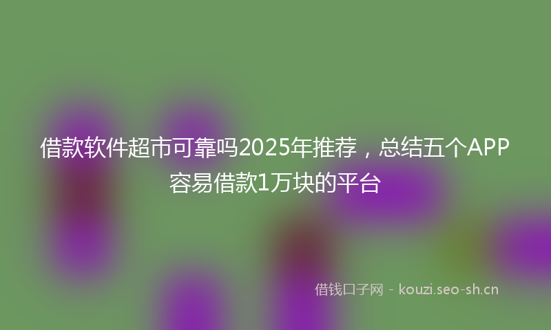 借款软件超市可靠吗2025年推荐，总结五个APP容易借款1万块的平台