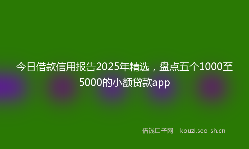 今日借款信用报告2025年精选，盘点五个1000至5000的小额贷款app