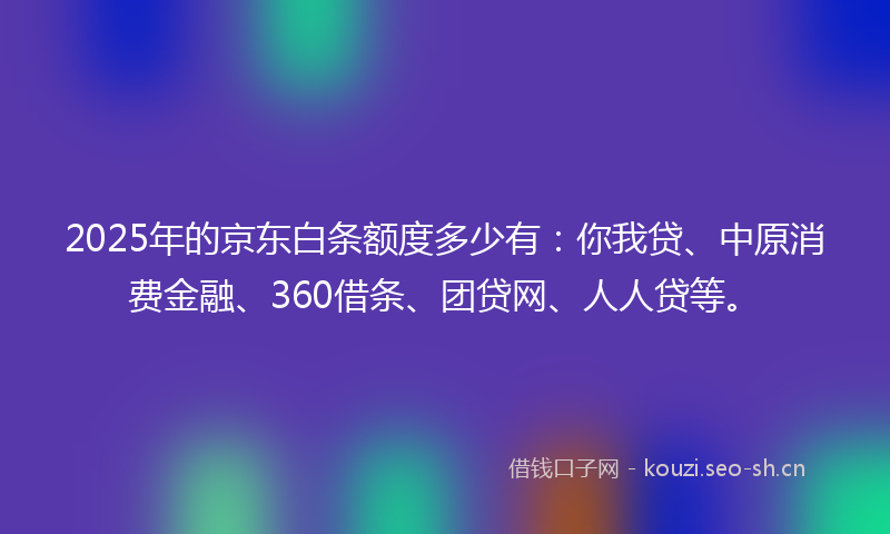 2025年的京东白条额度多少有:你我贷、中原消费金融、360借条、团贷网、人人贷等。