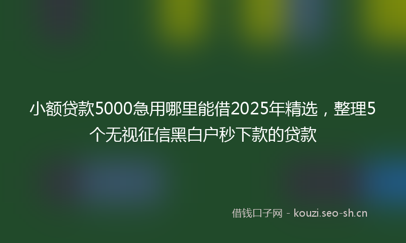 小额贷款5000急用哪里能借2025年精选，整理5个无视征信黑白户秒下款的贷款