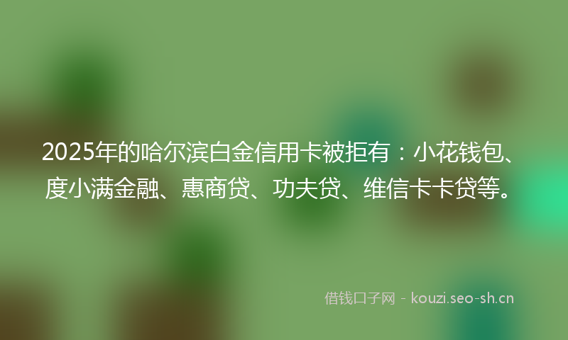 2025年的哈尔滨白金信用卡被拒有:小花钱包、度小满金融、惠商贷、功夫贷、维信卡卡贷等。