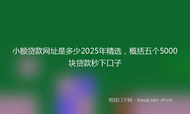 小额贷款网址是多少2025年精选，概括五个5000块贷款秒下口子