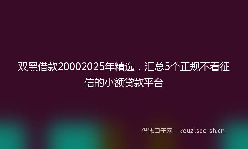 双黑借款20002025年精选，汇总5个正规不看征信的小额贷款平台