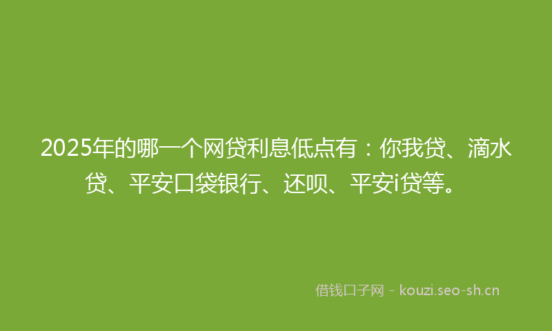 2025年的哪一个网贷利息低点有：你我贷、滴水贷、平安口袋银行、还呗、平安i贷等。