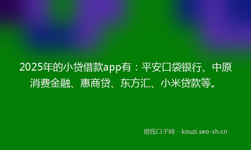 2025年的小贷借款app有：平安口袋银行、中原消费金融、惠商贷、东方汇、小米贷款等。