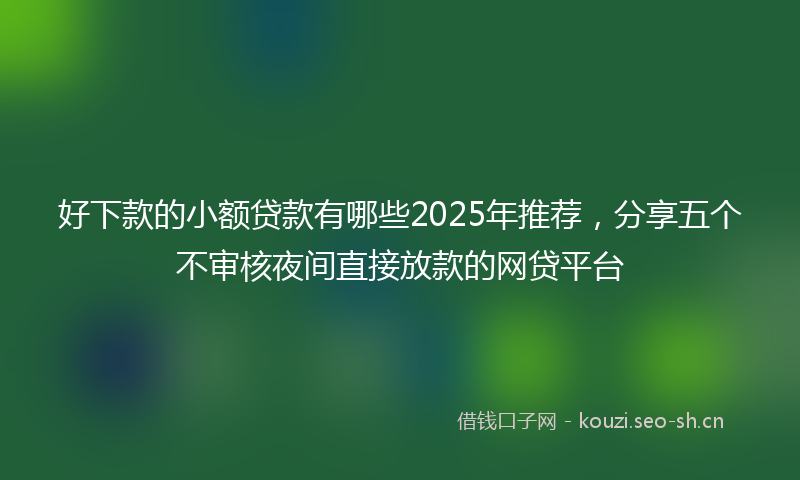 好下款的小额贷款有哪些2025年推荐,分享五个不审核夜间直接放款的网贷平台