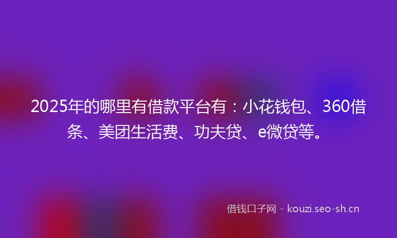 2025年的哪里有借款平台有：小花钱包、360借条、美团生活费、功夫贷、e微贷等。