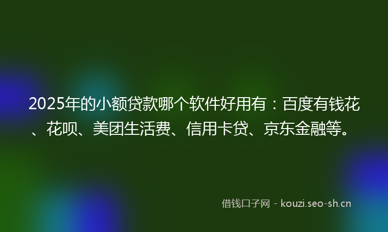 2025年的小额贷款哪个软件好用有：百度有钱花、花呗、美团生活费、信用卡贷、京东金融等。