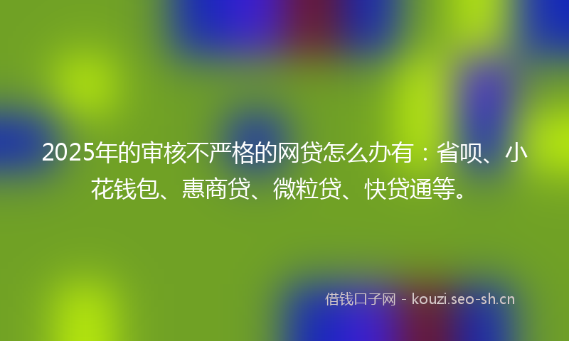 2025年的审核不严格的网贷怎么办有：省呗、小花钱包、惠商贷、微粒贷、快贷通等。