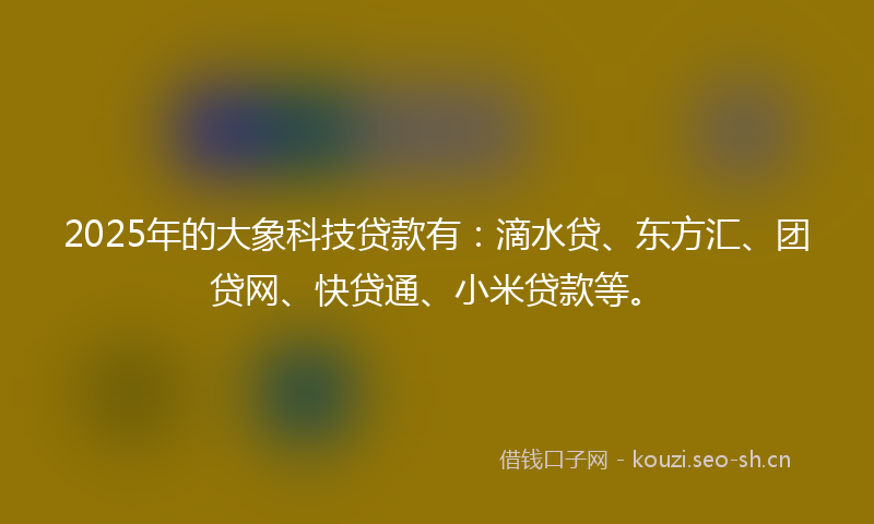 2025年的大象科技贷款有：滴水贷、东方汇、团贷网、快贷通、小米贷款等。
