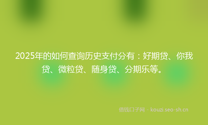 2025年的如何查询历史支付分有：好期贷、你我贷、微粒贷、随身贷、分期乐等。