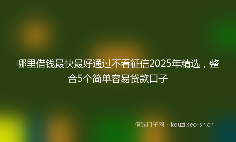 哪里借钱最快最好通过不看征信2025年精选，整合5个简单容易贷款口子