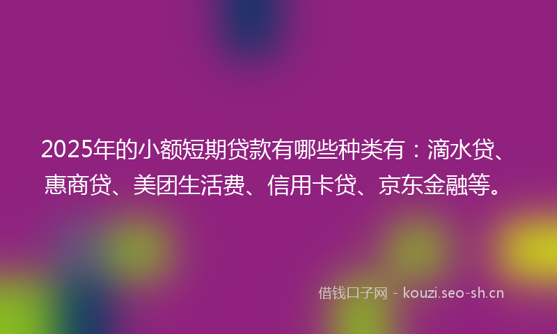 2025年的小额短期贷款有哪些种类有：滴水贷、惠商贷、美团生活费、信用卡贷、京东金融等。