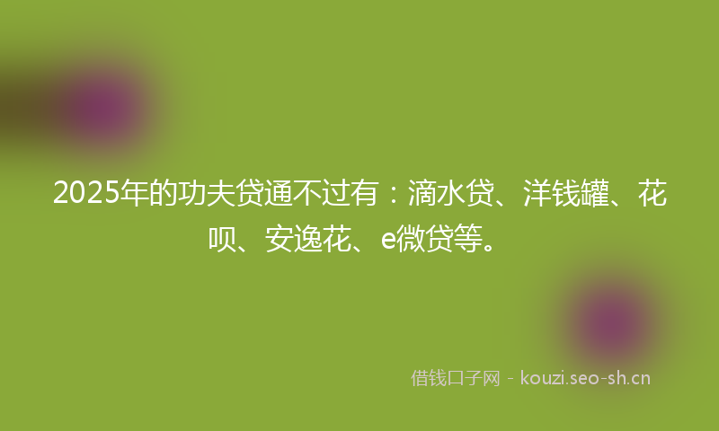 2025年的功夫贷通不过有：滴水贷、洋钱罐、花呗、安逸花、e微贷等。