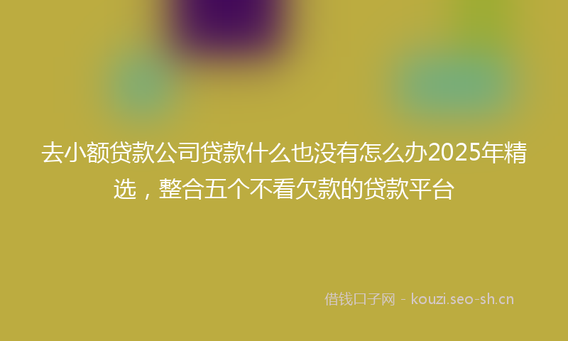 去小额贷款公司贷款什么也没有怎么办2025年精选，整合五个不看欠款的贷款平台