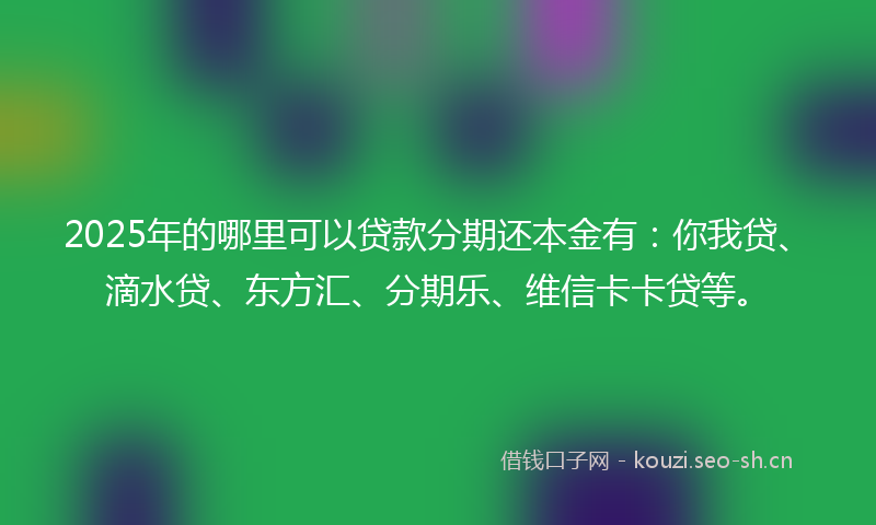 2025年的哪里可以贷款分期还本金有:你我贷、滴水贷、东方汇、分期乐、维信卡卡贷等。