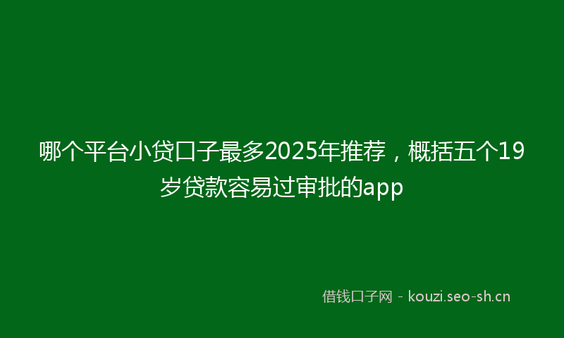 哪个平台小贷口子最多2025年推荐，概括五个19岁贷款容易过审批的app