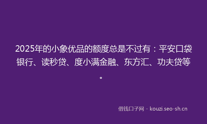 2025年的小象优品的额度总是不过有：平安口袋银行、读秒贷、度小满金融、东方汇、功夫贷等。