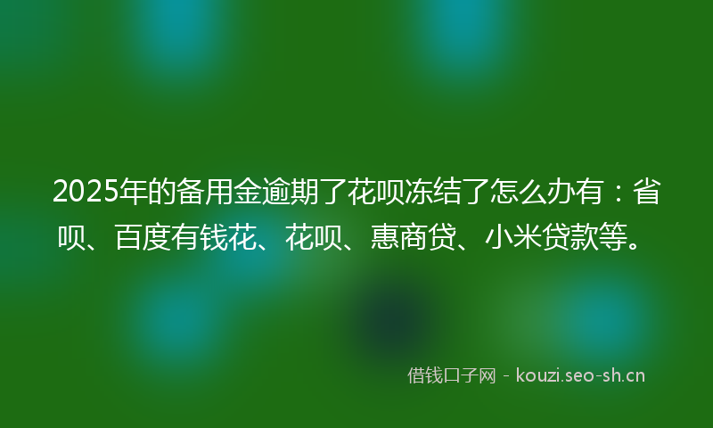 2025年的备用金逾期了花呗冻结了怎么办有：省呗、百度有钱花、花呗、惠商贷、小米贷款等。