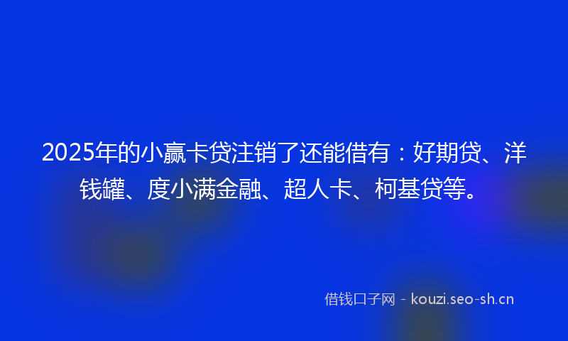 2025年的小赢卡贷注销了还能借有：好期贷、洋钱罐、度小满金融、超人卡、柯基贷等。