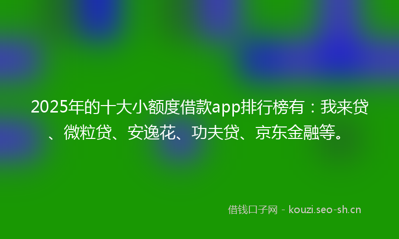 2025年的十大小额度借款app排行榜有：我来贷、微粒贷、安逸花、功夫贷、京东金融等。