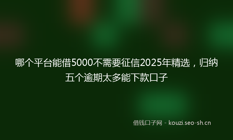 哪个平台能借5000不需要征信2025年精选，归纳五个逾期太多能下款口子