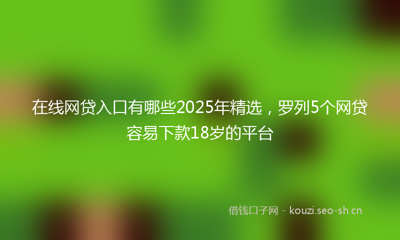在线网贷入口有哪些2025年精选，罗列5个网贷容易下款18岁的平台
