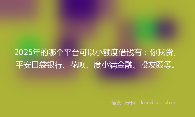 2025年的哪个平台可以小额度借钱有：你我贷、平安口袋银行、花呗、度小满金融、投友圈等。