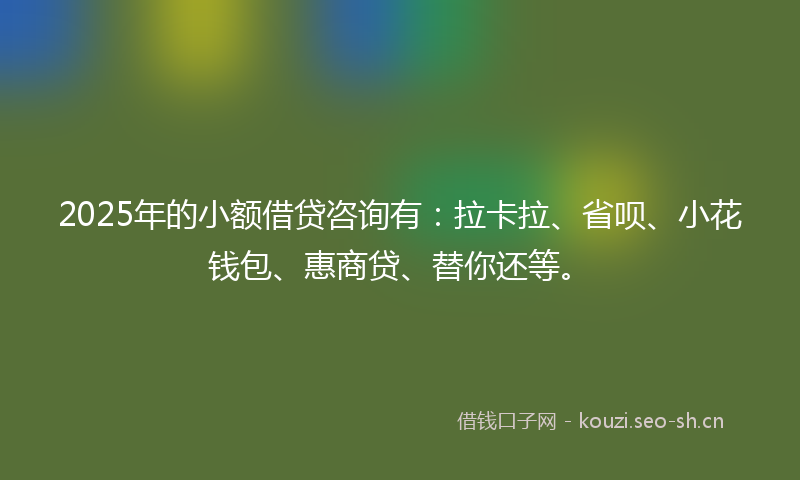 2025年的小额借贷咨询有：拉卡拉、省呗、小花钱包、惠商贷、替你还等。