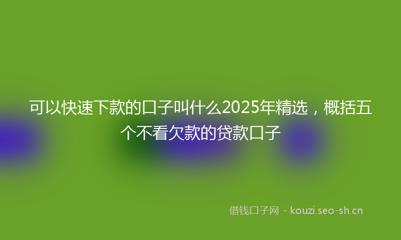 可以快速下款的口子叫什么2025年精选,概括五个不看欠款的贷款口子