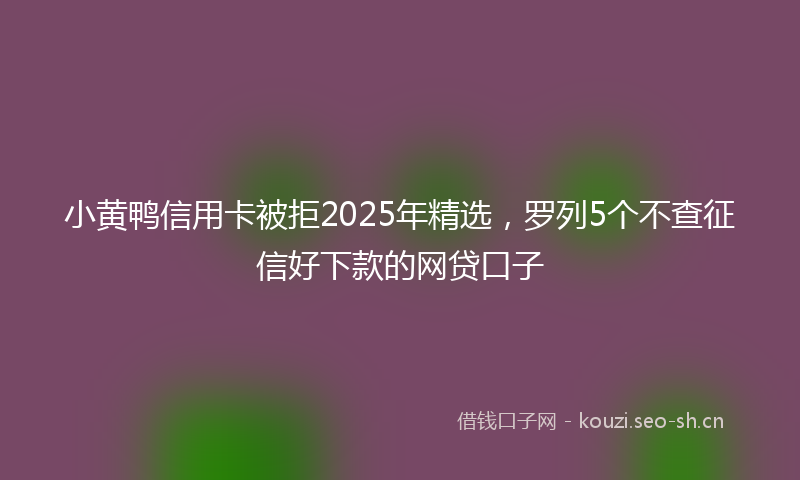 小黄鸭信用卡被拒2025年精选，罗列5个不查征信好下款的网贷口子
