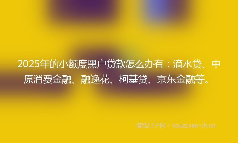 2025年的小额度黑户贷款怎么办有：滴水贷、中原消费金融、融逸花、柯基贷、京东金融等。