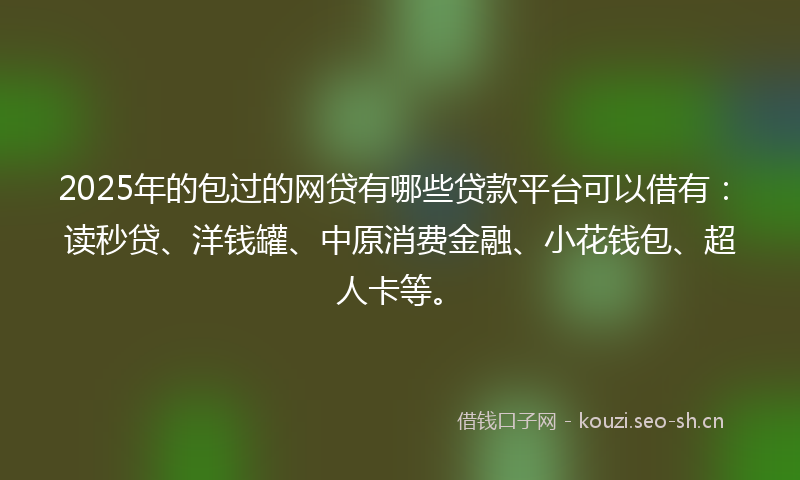 2025年的包过的网贷有哪些贷款平台可以借有：读秒贷、洋钱罐、中原消费金融、小花钱包、超人卡等。