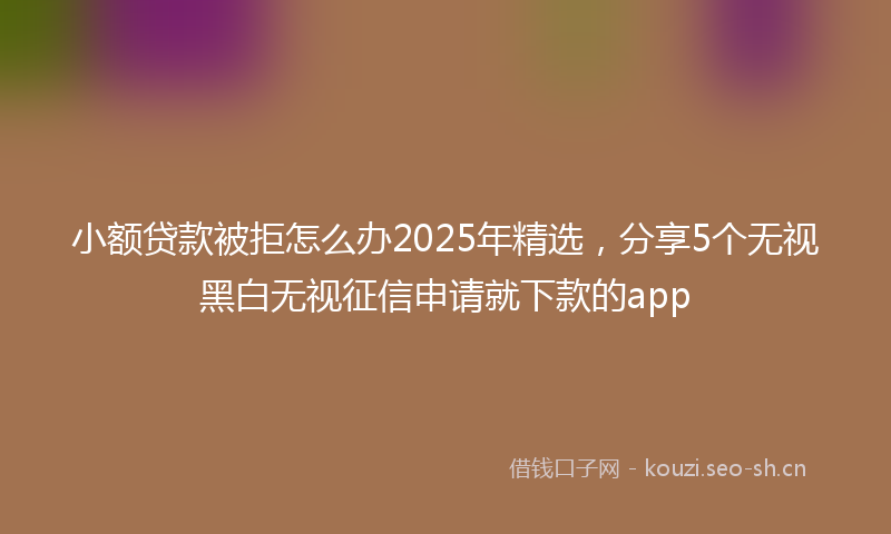 小额贷款被拒怎么办2025年精选，分享5个无视黑白无视征信申请就下款的app