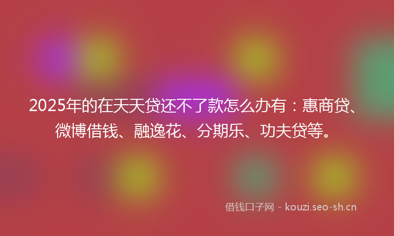 2025年的在天天贷还不了款怎么办有：惠商贷、微博借钱、融逸花、分期乐、功夫贷等。
