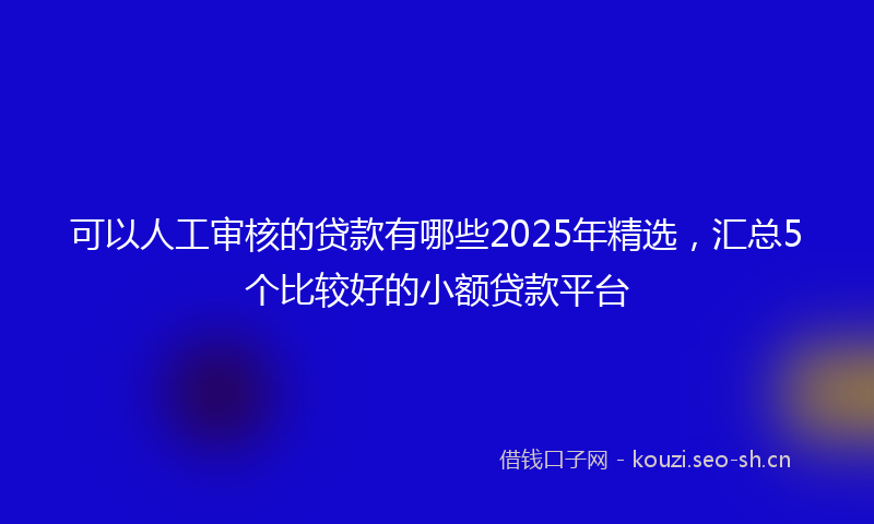 可以人工审核的贷款有哪些2025年精选，汇总5个比较好的小额贷款平台