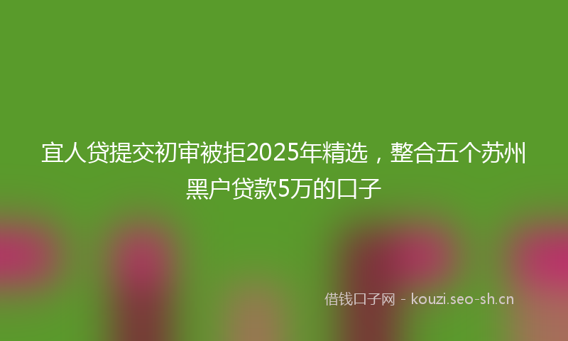 宜人贷提交初审被拒2025年精选，整合五个苏州黑户贷款5万的口子