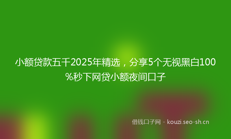 小额贷款五千2025年精选，分享5个无视黑白100%秒下网贷小额夜间口子