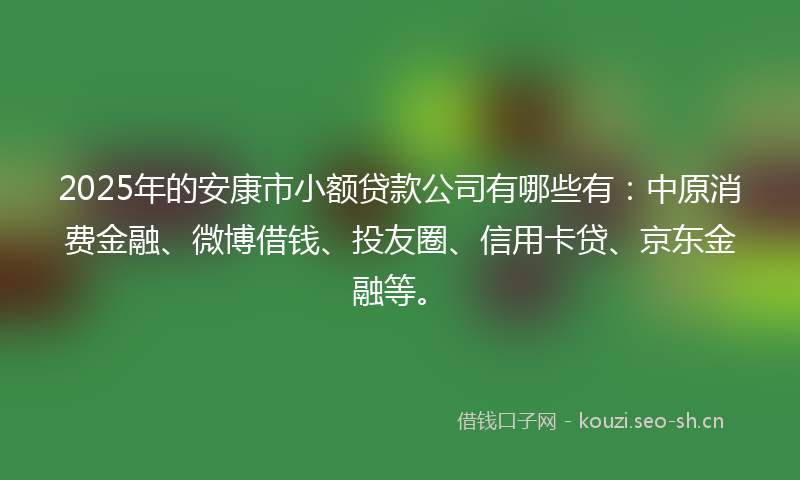 2025年的安康市小额贷款公司有哪些有：中原消费金融、微博借钱、投友圈、信用卡贷、京东金融等。